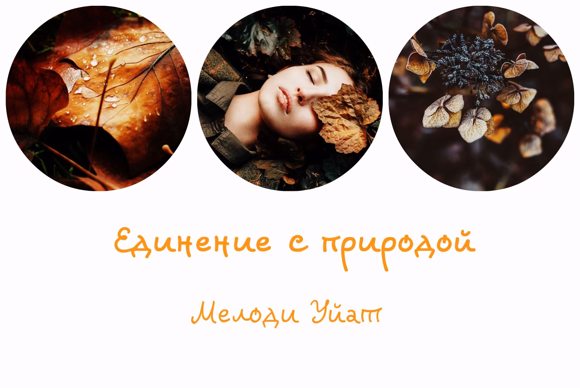 0a540038a84b473426be2bcdb125e774.jpg