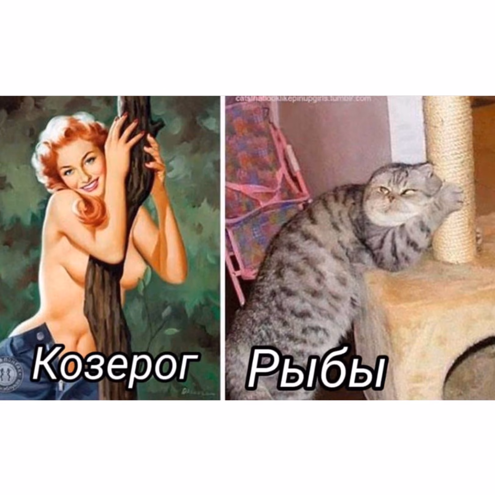 0a5a78f93cee29d430223295148bfb61.avif