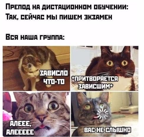 0a69e5ceb526b52ba3afbb55298f0f09.jpg