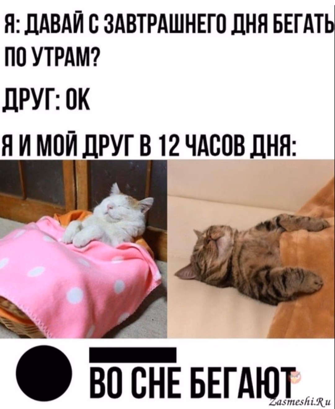 0a6ab147d69a49936c2f1e3d8497027c.avif