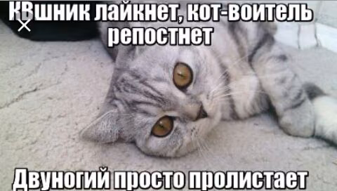 0a83313870d12531aa2cb1ac46ff1d5b.avif