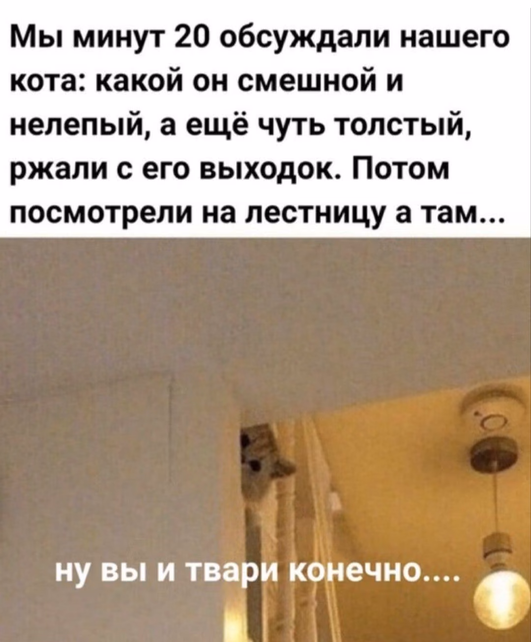 0a84c71210faba0b9fc1f72c7c0e83cf.avif