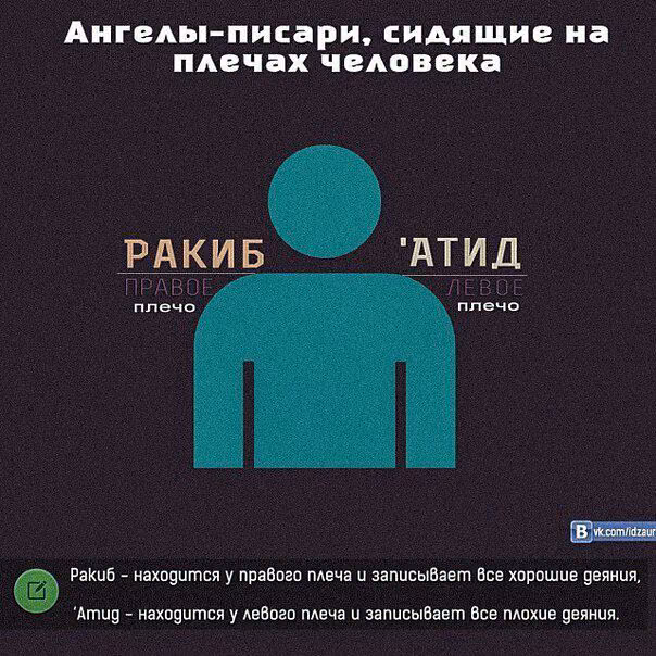 0a85dc3f2efc0b4033f208d43d2926dc.avif