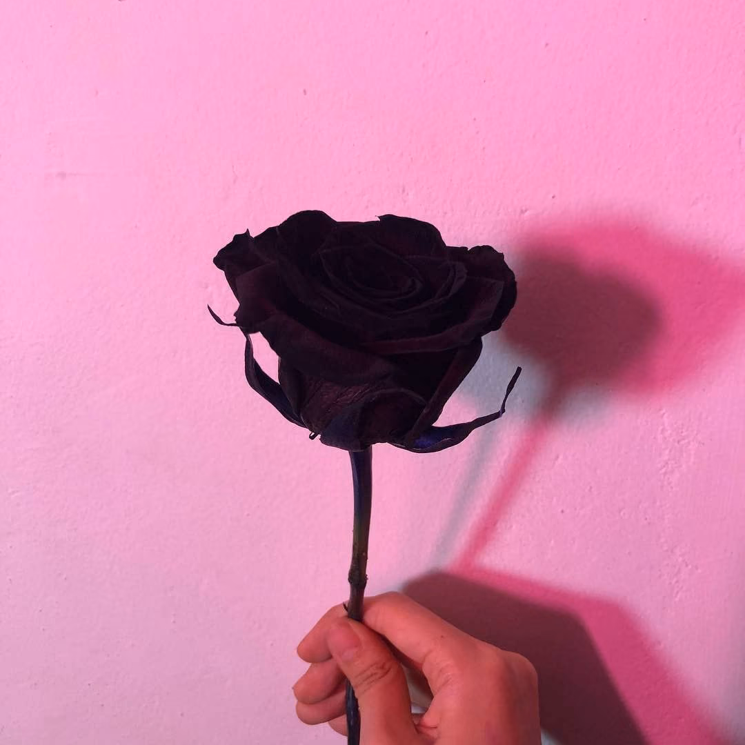 0a9f1f78f627cbd1cc146c2f0e0adbdf.jpg