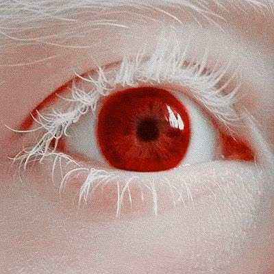 0aa8c3f334b8367bfa86e05d48505fa8.jpg