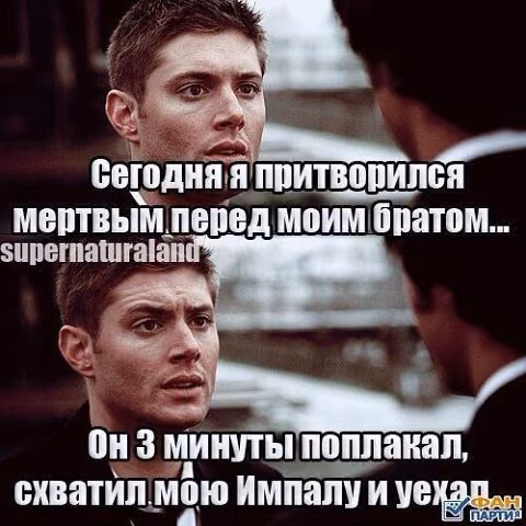 0aaed82be8eef903510f74a71c414a21.avif