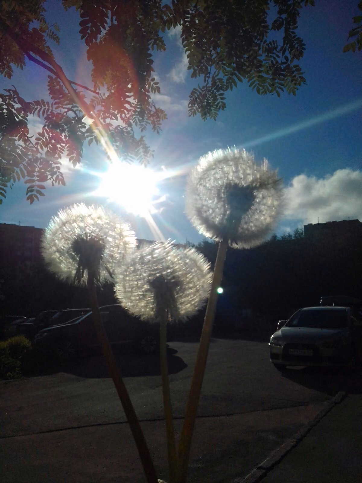 0ab9d025ef6e368bb6c4af1d9ba857ed.jpg