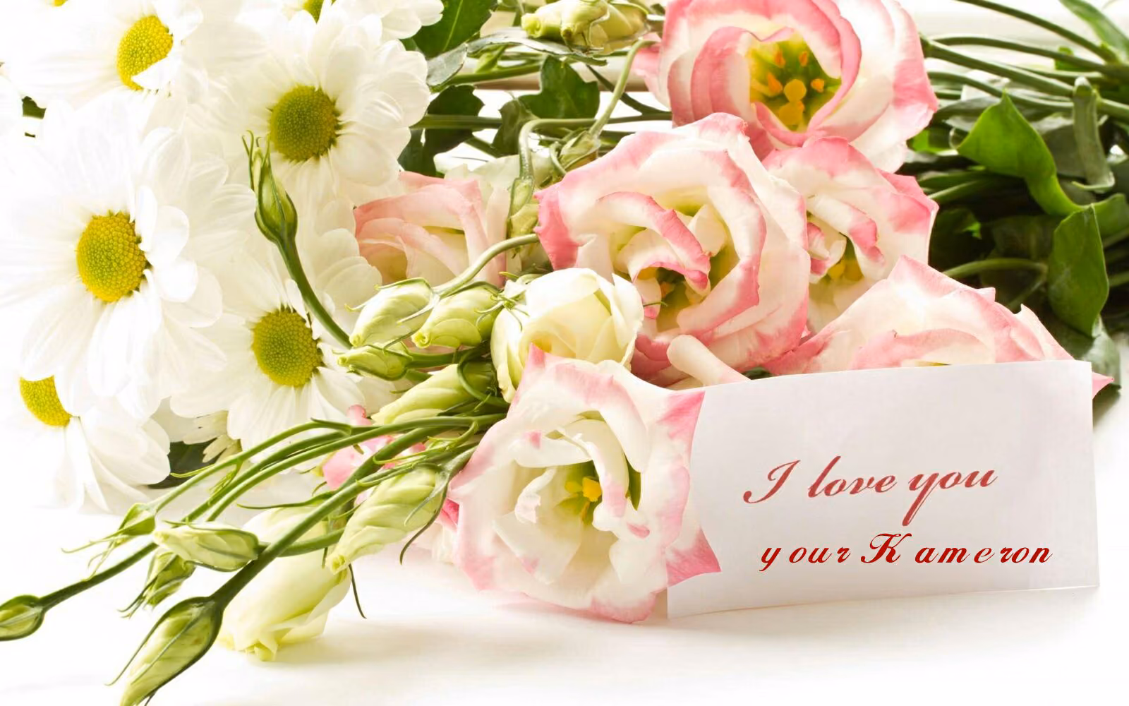 0abf89d7f737b785a713fa0bc0dcbba4.avif