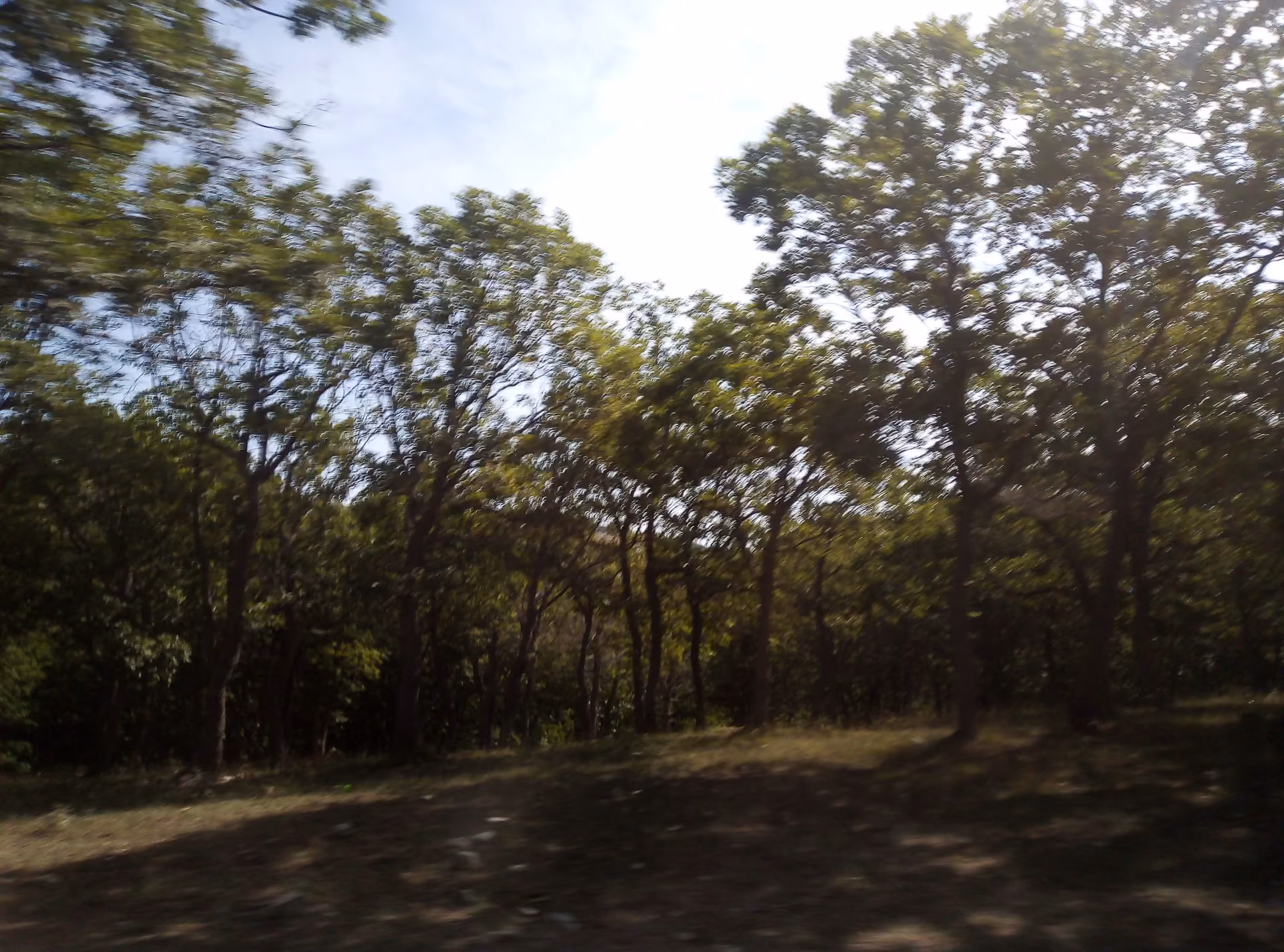 0ac282d9b2cb21aa9d24107bef03b5a4.jpg
