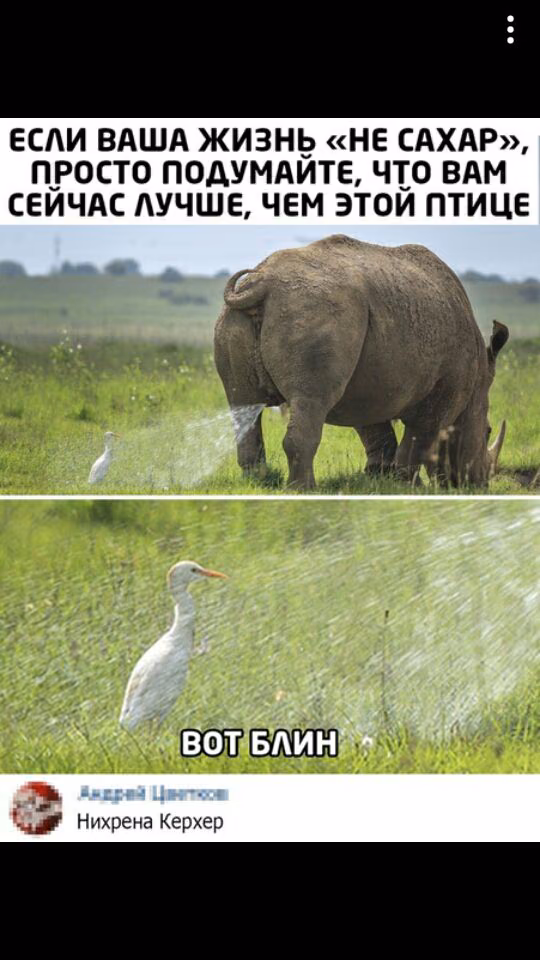 0ac48326b4c9c3863d47cc3fd32dbd11.jpg