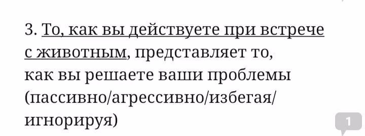 0ad3452b5965dff7c375926196e4ed73.avif