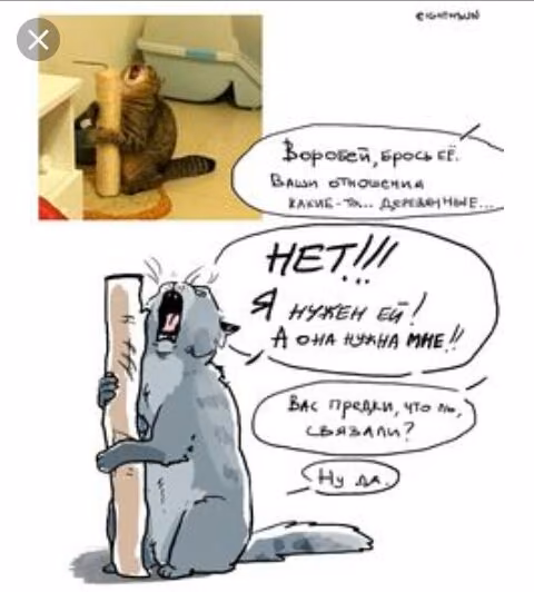 0ad808e77979cb37fea0e0a1ab86ca2b.avif
