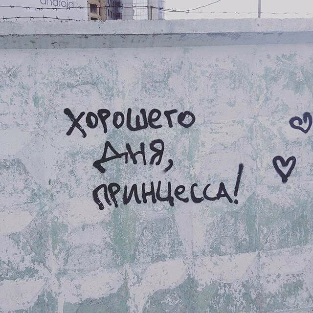 0ae727872a8d8df3f3e8ca607dca2582.avif