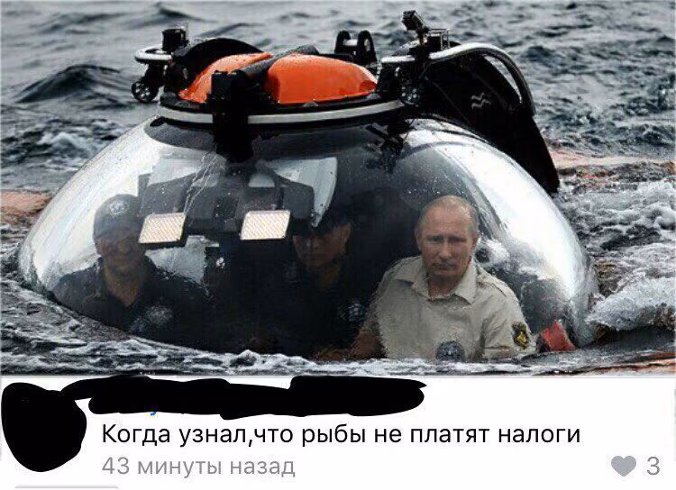0aea345069bf3d0db99269af9e7dc354.avif