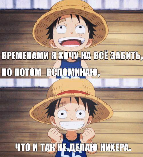 0aeecf73f42e5d77a8b2d1badb780208.avif