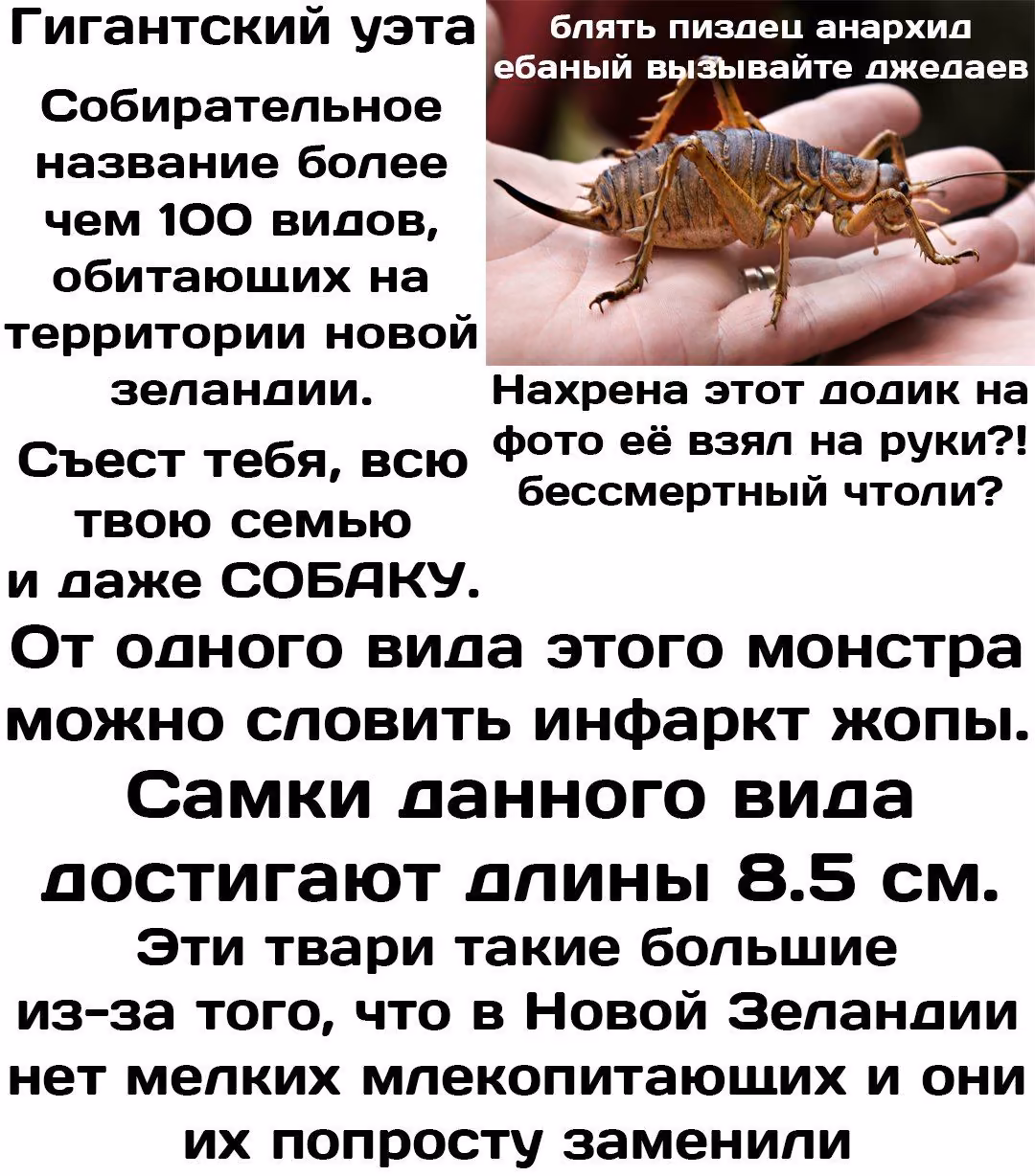 0afb7b6dea2f960208b662bc8ed0dd7b.jpg