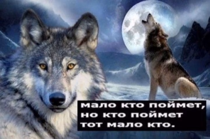 0b045e843390c3e3a21d07a76a976a34.jpg