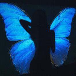 0b0e4b0a0d7d25aa19e3cfdd98da0282.avif