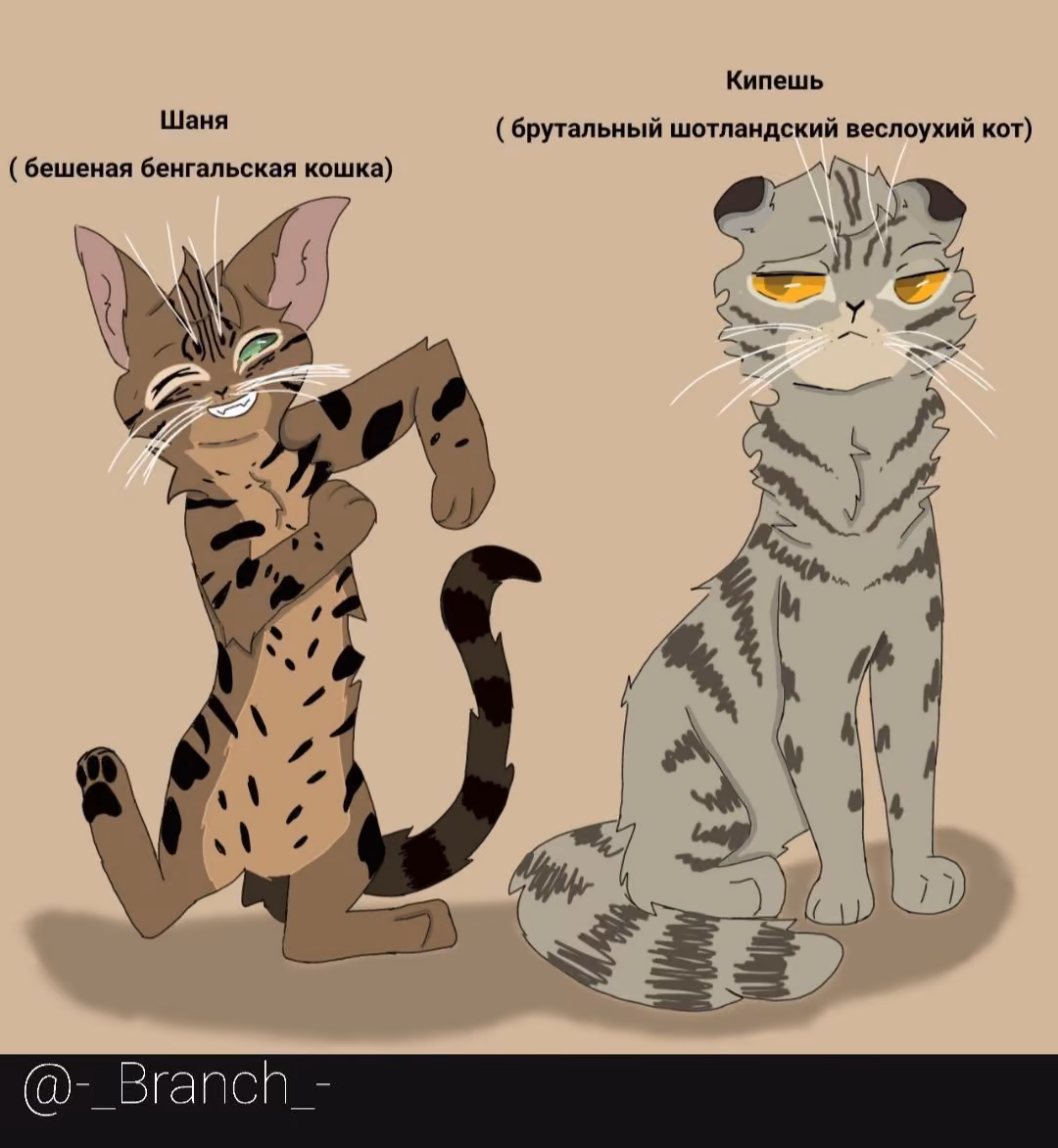 0b12e00a4efcbd5bd101ed521c40e68b.jpg