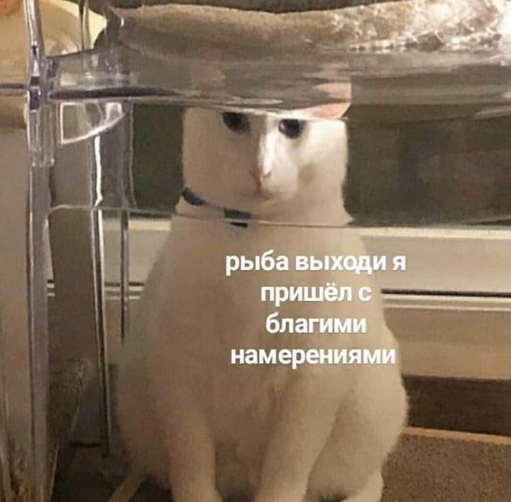 0b20eeeffff3f98d1d09df58fb55a674.jpg