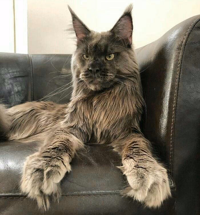 0b29a238441f43e2addace8dda0cb443.avif