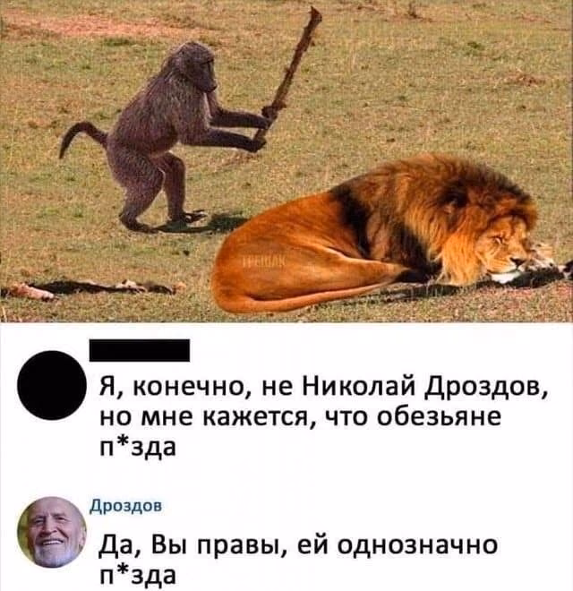 0b33c6be1a8c0ecccf095326fd8b6261.avif