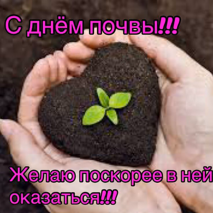 0b34d785420e32ed656ece6d95a9f44a.avif