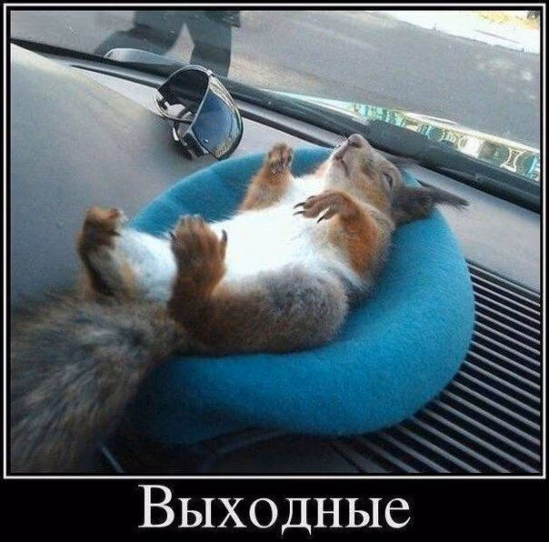 0b35f33604a26381c6f6dc85b3bc9688.avif