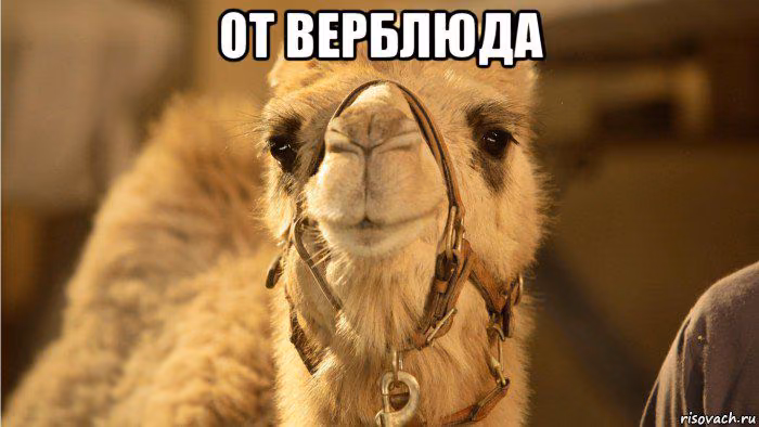 0b3720f1dead2805ed34317066b3deff.jpg