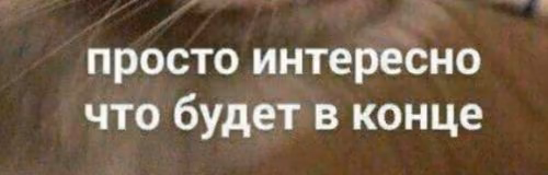 0b50245fd503d425b3b52e49faf48734.avif