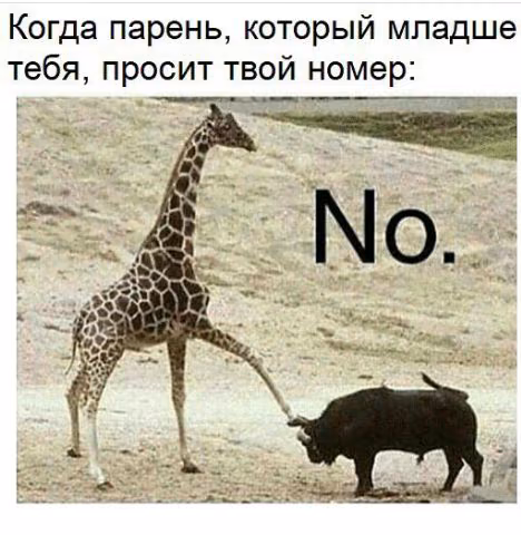 0b617cc1029eab75f4437db2bbe9eb14.jpg