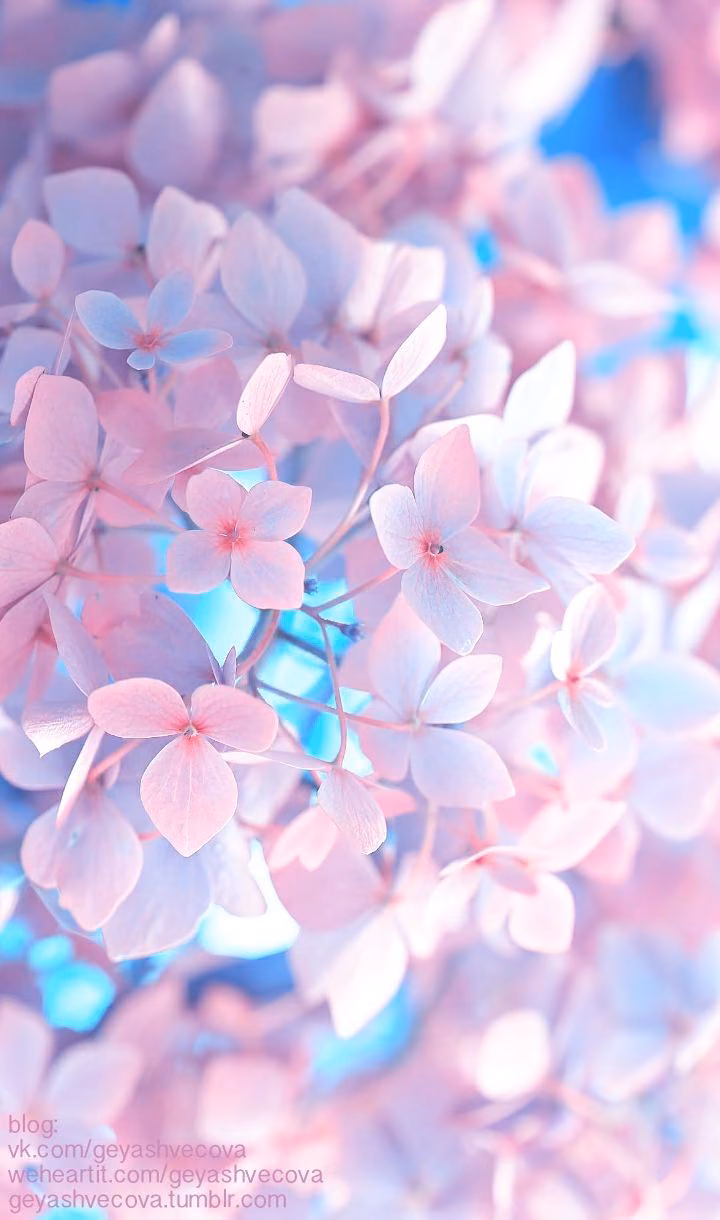 0b800a1d21b1eba2cb6803d4ff74dd74.jpg