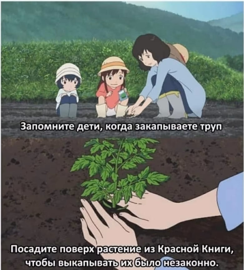 0b8ce58cbc769f24c1f40dbb9e17342d.jpg