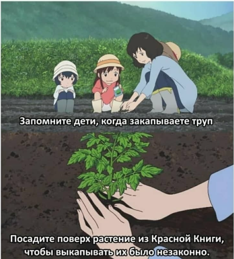 0b8ce58cbc769f24c1f40dbb9e17342d.jpg