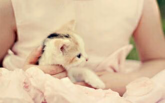 0b9c6d277e11ac97832cfc1be89bc02a.jpg