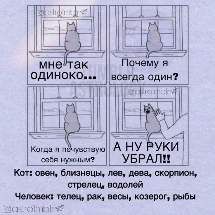 0bb720fd62ba12f1c66d4df2ada78f7a.avif