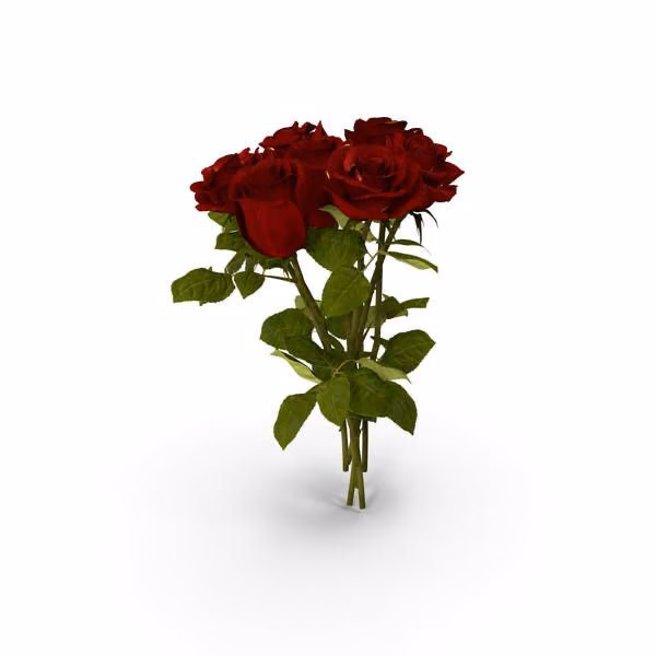0bcbf57025fc8790f74856e2ca7945c3.jpg