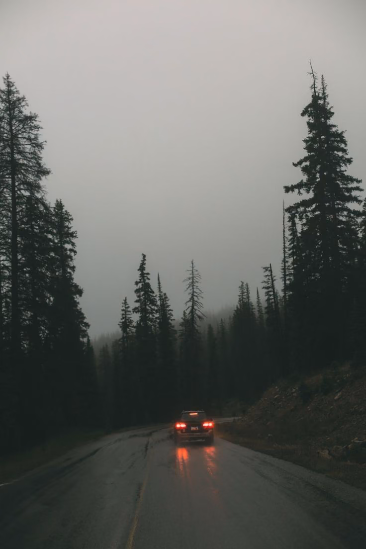 0bcce9cfcb2df0f926ea344e49538b14.jpg