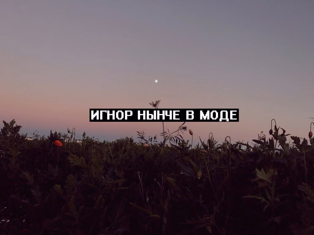 0bd13ba6ab3dd55414d4c16a0bc70d2b.jpg