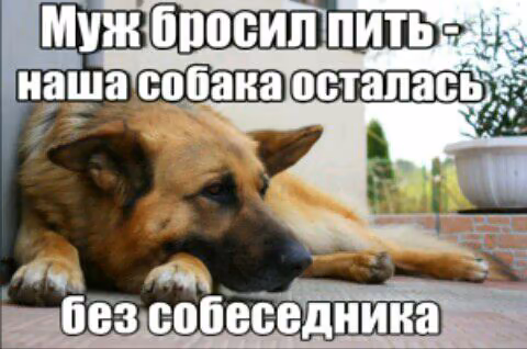 0be185e81bfeaeb190b995037254632b.avif