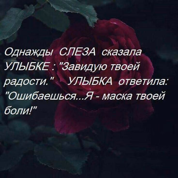 0be5946f39a6664b586bc103ec0e4702.jpg