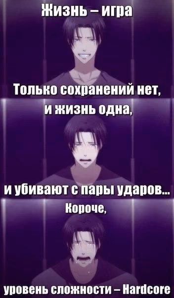 0beae36d950a8f37405ca89b23b72d64.avif