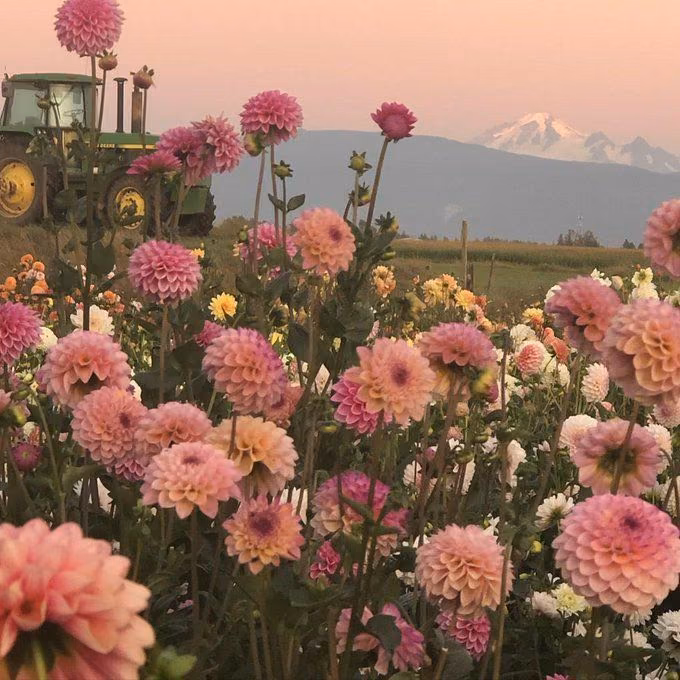 0bee91a1785ef9138c11af18b5651747.jpg