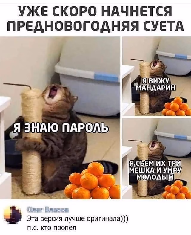 0bf41b10ecae94dd5f48b3f8eedb4c1e.jpg