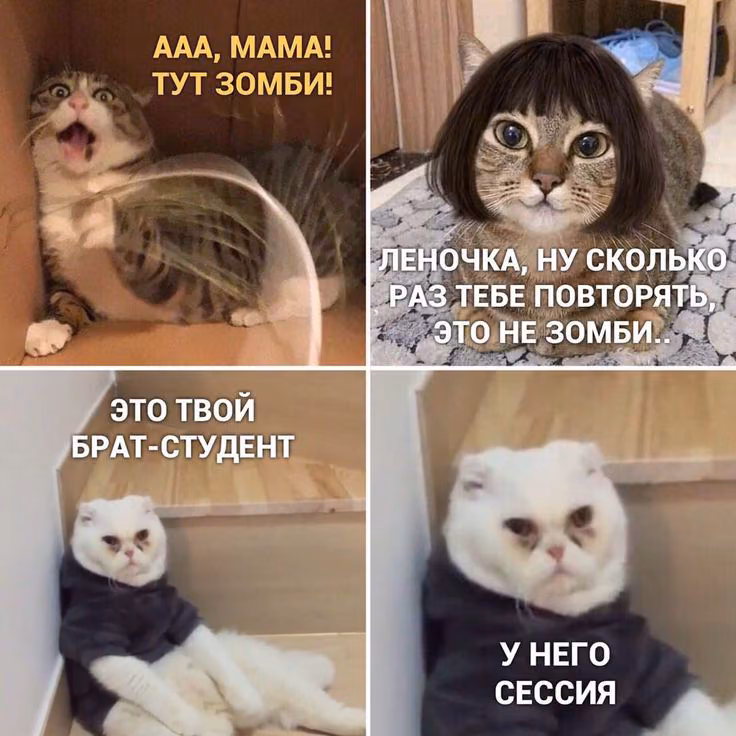 0bffeafe7be56ef18cf19e01956e4e71.avif