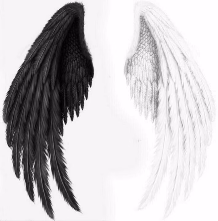 0c0f8fb08281bc4f1edb98e08e064057.avif