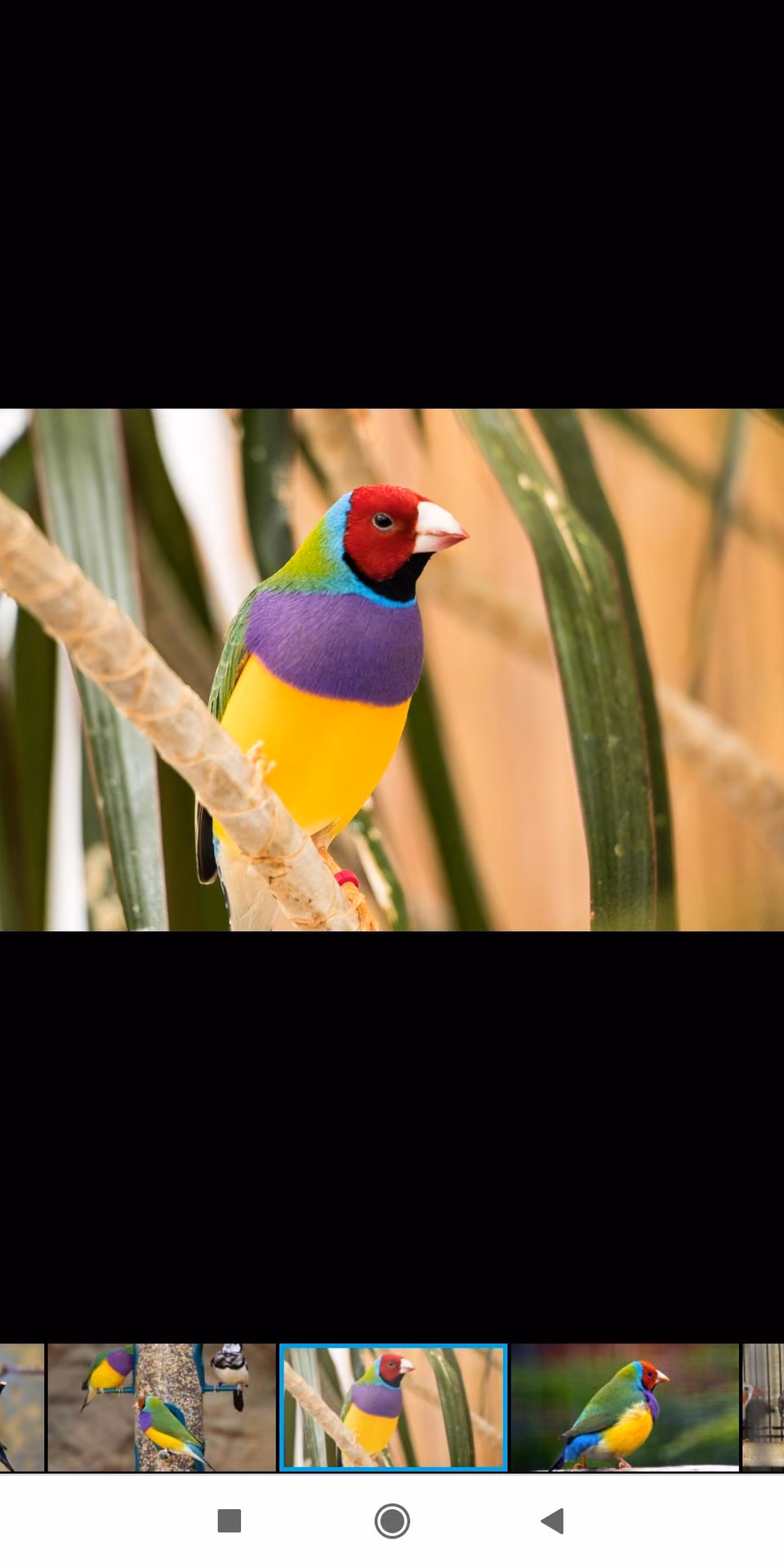0c1286085a7f98ed70baedf89d09c47f.avif
