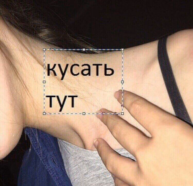 0c13b4b1a9f6a338ce2953cb4ee0cba8.jpg