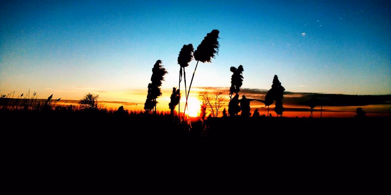 0c15e7fe21614c564c6eca49d6a2bd2a.jpg