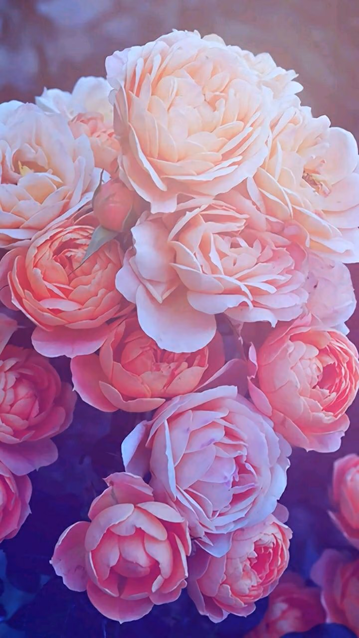 0c4ada7cb3d9d9b6dd2f99d2a159d3a6.avif